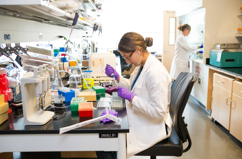 Student conducting summer research